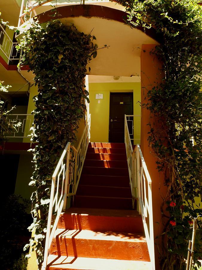 El Manzano Guest House بونو المظهر الخارجي الصورة